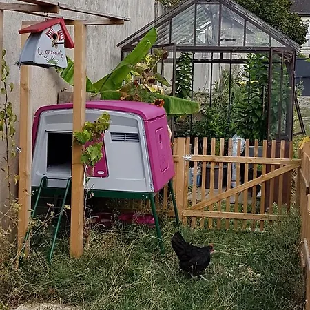 アパート - Yellow Sun