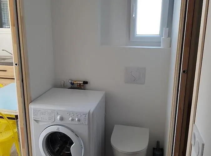 - Yellow Sun Анже