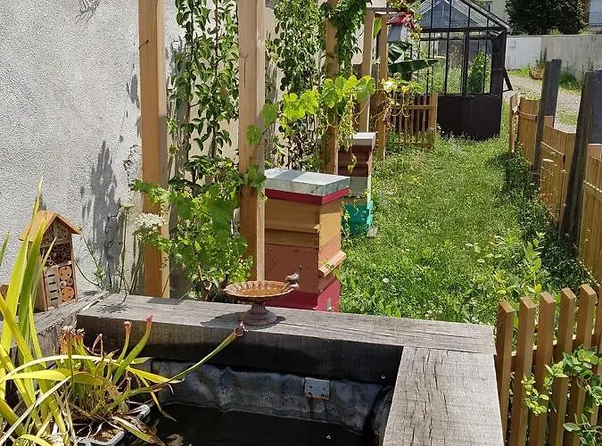 Апартаменты - Yellow Sun *